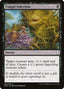 Magic-kaart Fungal Infection DOM-94 uit Dominaria (Common)