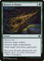 Return to Nature – Theros Beyond Death (THB-197) Magic: The Gathering card