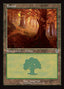 Forest – Innistrad Remastered (INR-296) Magic: The Gathering card | LC-REM-20260804-15340022661452-a7cdabc9-39d6-4380-8e14-e7792d7463dd