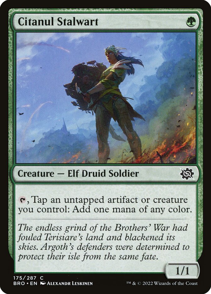 Citanul Stalwart - The Brothers' War (Common) [BRO-175]