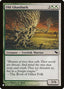 Old Ghastbark – The List (PLST-SHM-232) Magic: The Gathering card | LC-REM-20260804-15151536341324-a919c38a-9f58-4786-a3fd-aeba2379e877
