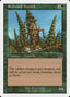 Redwood Treefolk – Sixth Edition (6ED-247) Magic: The Gathering card