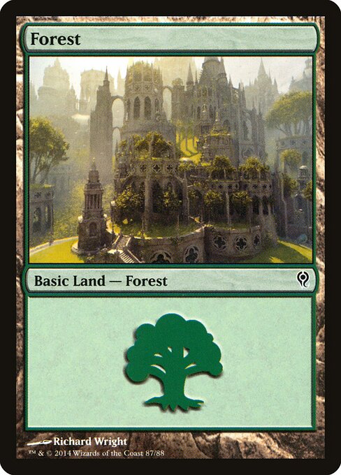 Forest – Duel Decks: Jace vs. Vraska (DDM-87) Magic: The Gathering card | LC-REM-20260804-15535543255372-b0b6e3d0-bbb0-4fa3-8c01-9e2926fed10f