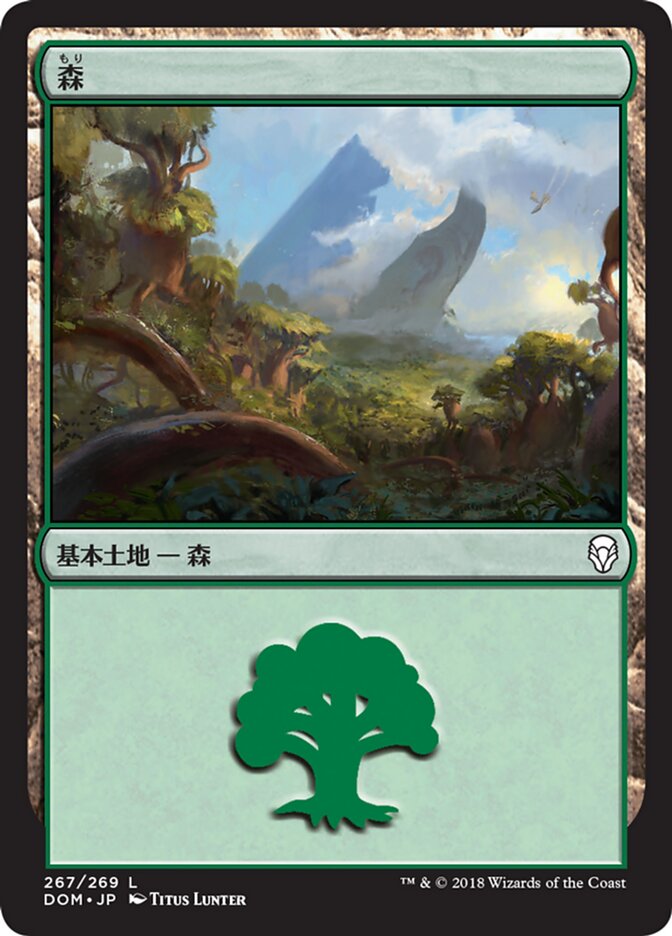 Magic-kaart Forest DOM-267 uit Dominaria (Land) Hoofdafbeelding