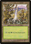 Magic-kaart Forest MIR-348 uit Mirage (Land)