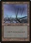 Magic-kaart Swamp USG-339 uit Urza's Saga (Land)