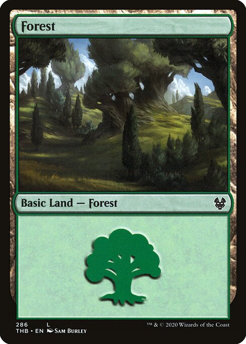 Forest – Theros Beyond Death (THB-286) Magic: The Gathering card | LC-REM-20260804-15151523594572-c4be31c4-9cb3-4a07-865b-5621127df660