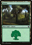 Forest – Theros Beyond Death (THB-286) Magic: The Gathering card | LC-REM-20260804-15151523594572-c4be31c4-9cb3-4a07-865b-5621127df660