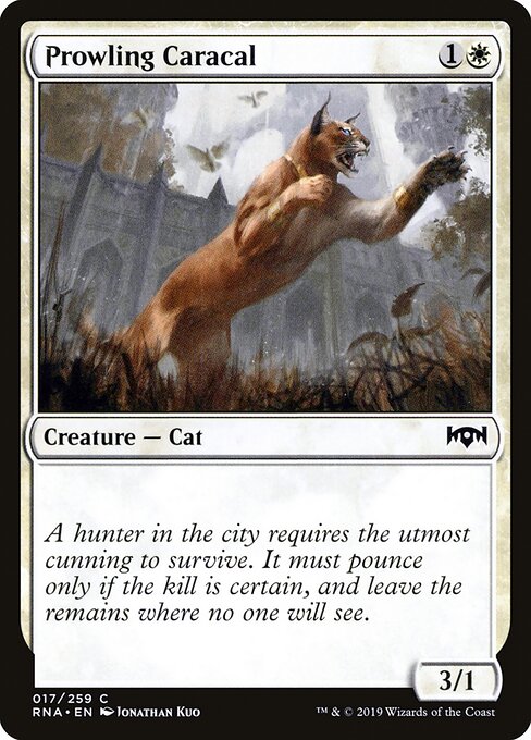 Prowling Caracal – Ravnica Allegiance (RNA-17) Magic: The Gathering card