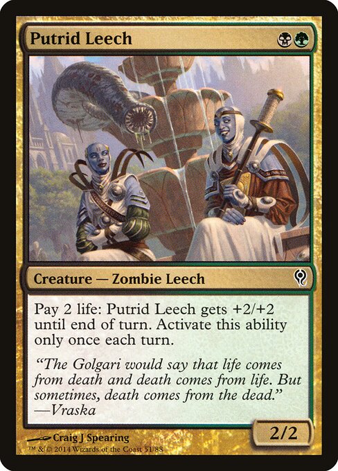 Putrid Leech – Duel Decks: Jace vs. Vraska (DDM-51) Magic: The Gathering card Hoofdafbeelding