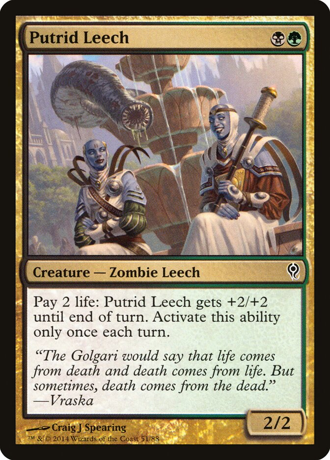 Magic-kaart Putrid Leech DDM-51 uit Duel Decks: Jace vs. Vraska (Common)