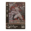 田中 広輔 Bushiroad Dream Order 2024 CBP02-C06 Baseball trading card