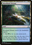 Woodland Stream - Rivals of Ixalan (Uncommon) [RIX-191]