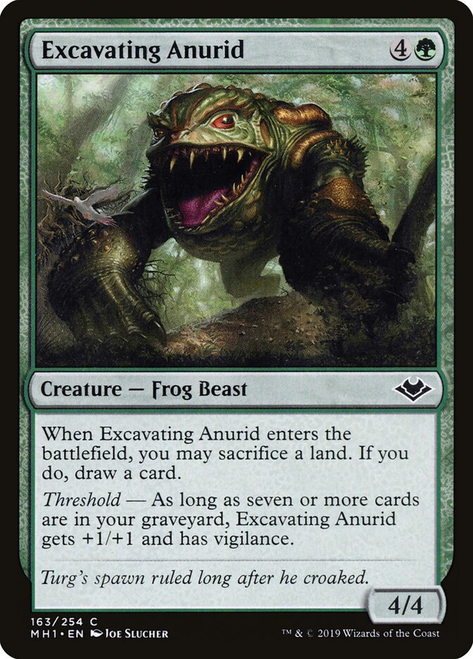 Excavating Anurid - Modern Horizons (Common) [MH1-163]