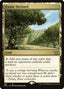 Exotic Orchard – Commander: Kamigawa: Neon Dynasty (NEC-168) Magic: The Gathering card