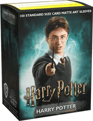 Dragonshield Wizarding World Art Sleeves Harry Potter (100 sleeves) 5706569160197