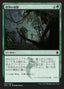 Magic-kaart Scout the Borders KTK-148 uit Khans of Tarkir (Common), Japanse uitgave