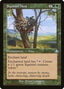 Squirrel Nest – Dominaria Remastered (DMR-349) Magic: The Gathering card | LC-REM-20260804-15151676457292-e4112147-5609-484f-b303-c34df2f315ce