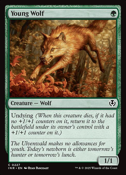 Young Wolf – Innistrad Remastered (INR-227) Magic: The Gathering card | LC-REM-20260804-15339914625356-ed2ca825-b029-495f-83fc-54366229d417