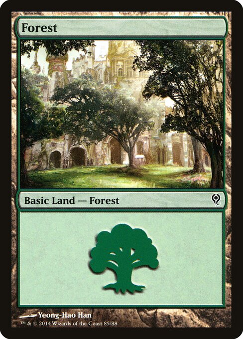 Forest – Duel Decks: Jace vs. Vraska (DDM-85) Magic: The Gathering card | LC-REM-20260804-15535543812428-ee05a26d-b872-4d49-9860-2fd982b3662f