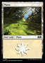 Plains – Wilds of Eldraine (WOE-267) Magic: The Gathering card