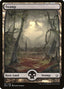 Swamp – Hour of Devastation (HOU-187) Magic: The Gathering card