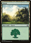 Forest (V.2) - Kaladesh (Land) [KLD-263]
