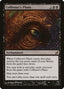 Colfenor's Plans – Lorwyn (LRW-106) Magic: The Gathering card