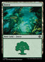 Forest – The Lost Caverns of Ixalan (LCI-401) Magic: The Gathering card | LC-REM-20260804-15151574450508-f954219a-fd4b-4fb1-945f-7950efc1d975