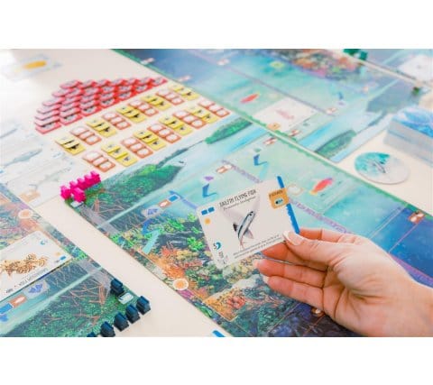 Finspan (EN) 0850032180931