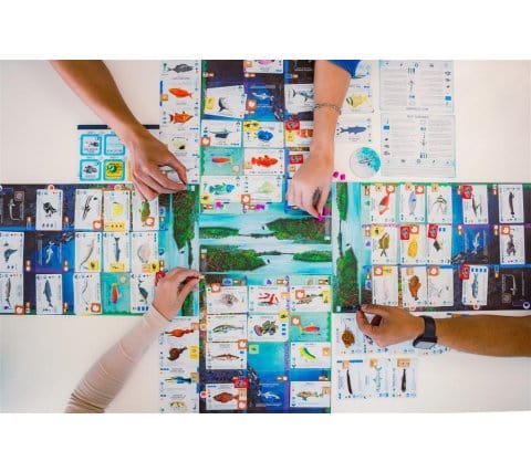 Finspan (EN) 0850032180931