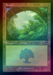 Forest (451) - Retro Frame (Foil) (CMM)