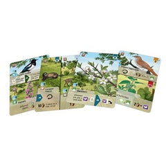 Forest Shuffle: Woodland Edge uitbreiding (EN) 4260402316536