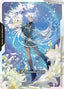 EX Resource - Freedom Ascension C+ SP EXR-010