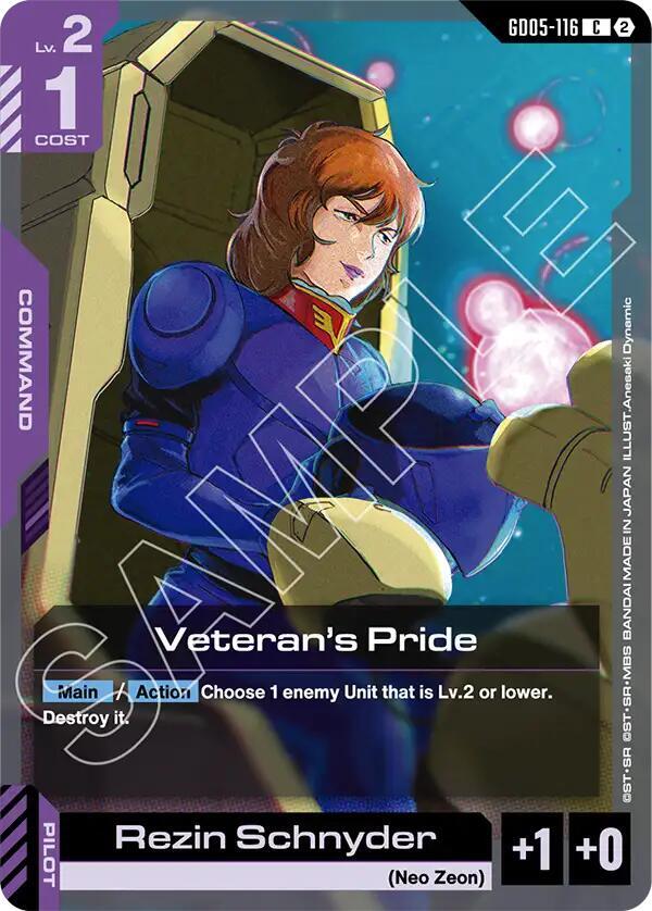 Veteran's Pride - Freedom Ascension C GD05-116
