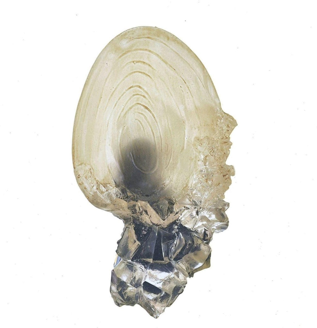 Harry Potter - Replica Crystal Goblet 0812370013395