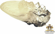 Crystal Goblet replica met de brede, ondiepe schelpvormige kom - 0812370013395