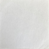 Lugia Namco Promo Pokemon Sticker Metallic Japanese 2009 - achterzijde (Excellent) | Lichcards