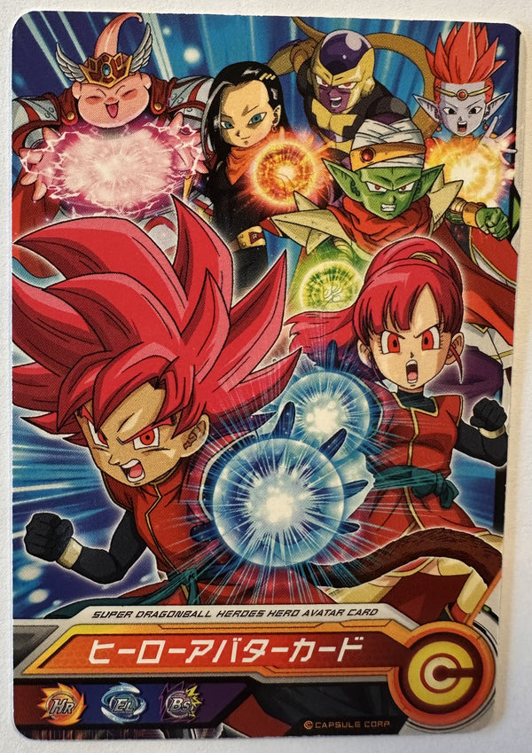 Voorzijde – Hero Avatar Card – Saiyan Avatar (2016) – Hero Avatar Card 2016