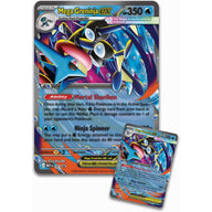 Pokémon Mega Greninja ex Premium Collection – inbegrepen promokaart en grote lenticulaire promokaart naast elkaar