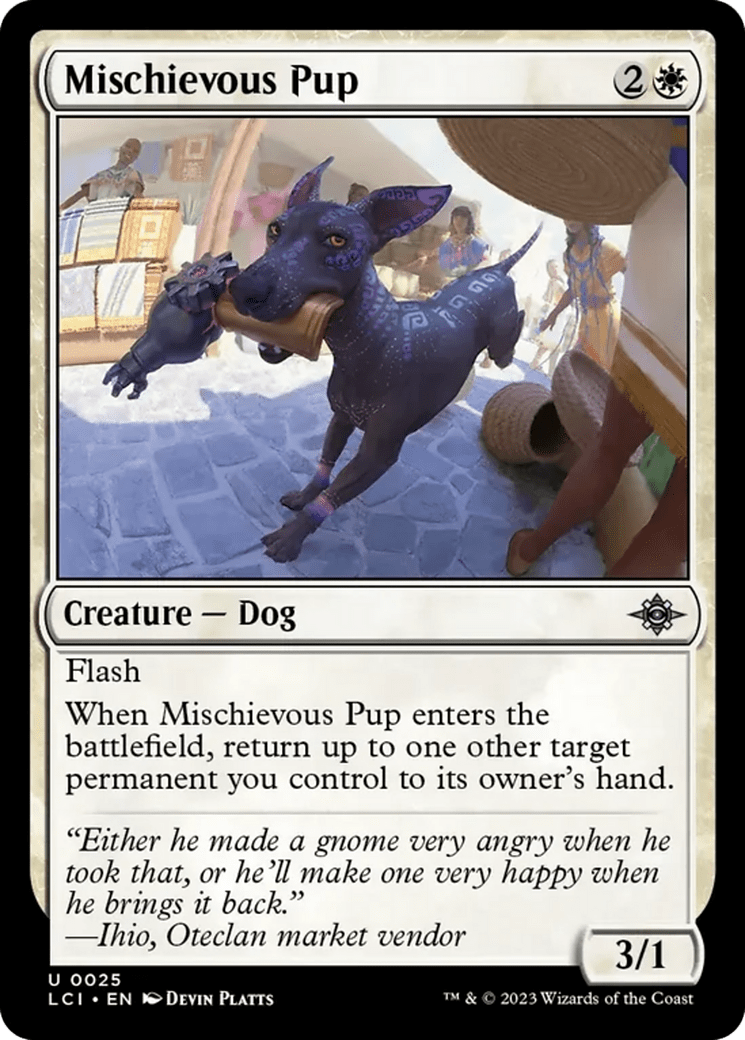 Mischievous Pup (LCI)