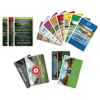 Monopoly Pokémon (NL) 5010996298584