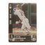 岡島 豪郎 Bushiroad Dream Order 2024 PBP02-E06 Baseball trading card