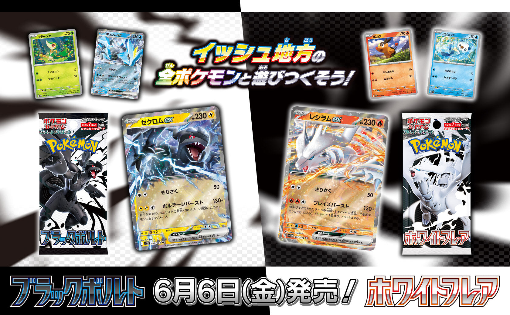 Offizielle Pokémon Black Bolt und White Flare Illustrationskarten