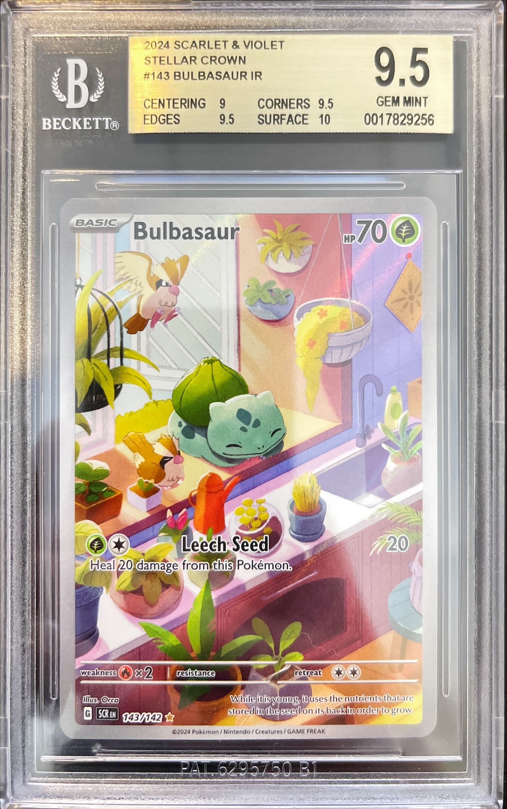 Pokémon Bulbasaur Stellar Crown BGS 9,5 0017829256 Hauptbild