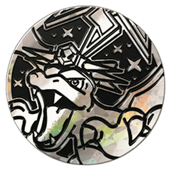 Terastal Charizard Coin