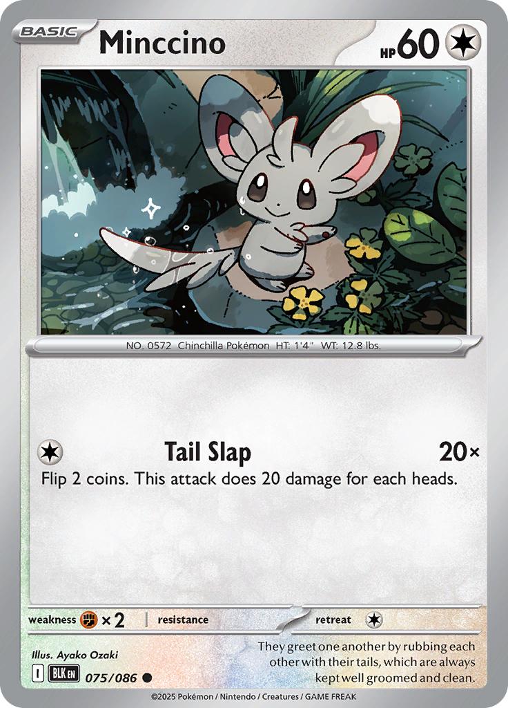 Pokémon-kaart Minccino 075/086 Common uit de set Black Bolt