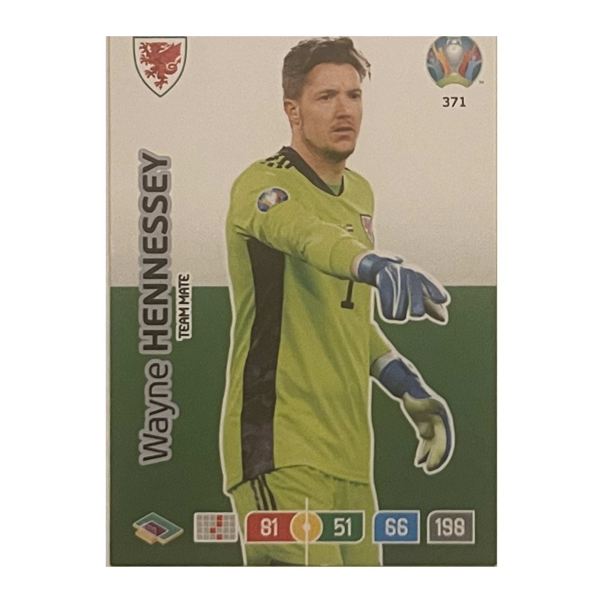 Wayne Hennessey - Panini Adrenalyn XL UEFA Euro 2020 (Team Mate) [371] - originele kaartvoorkant