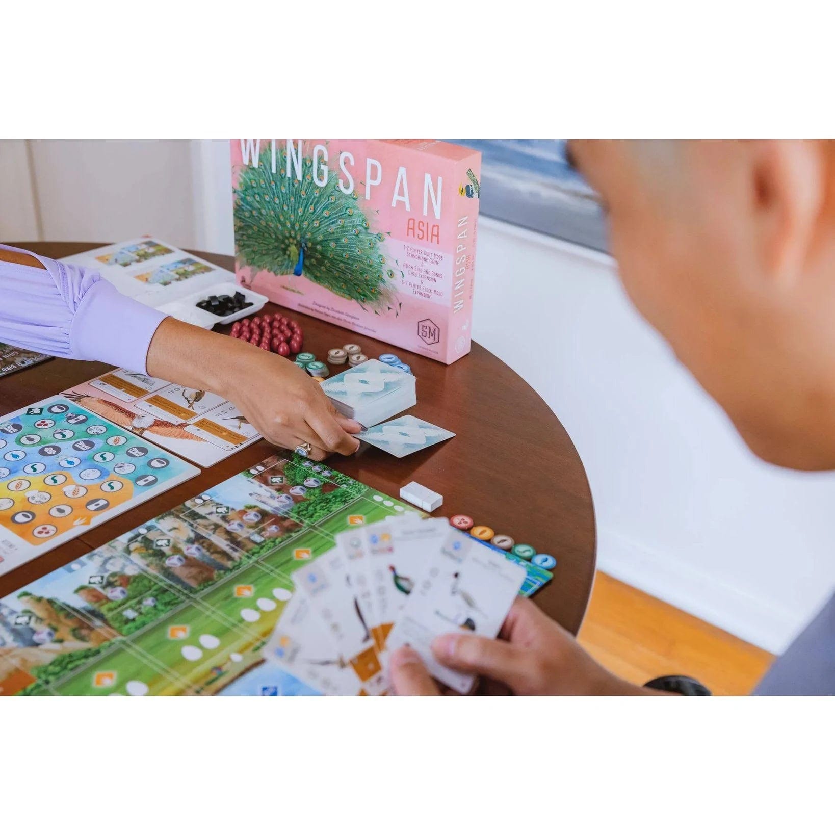 Wingspan Asia 0850032180078