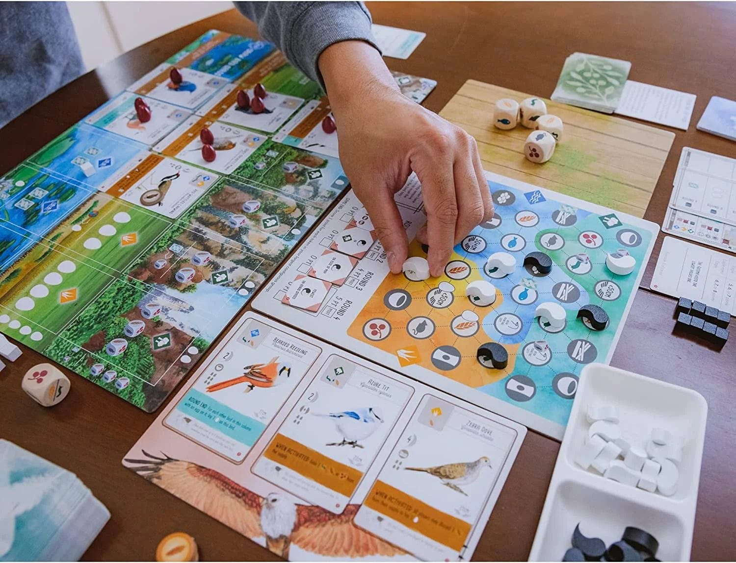 Wingspan Asia 0850032180078